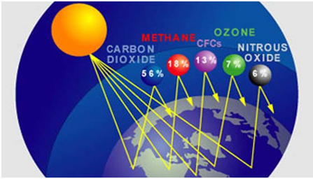 EPA_Graph