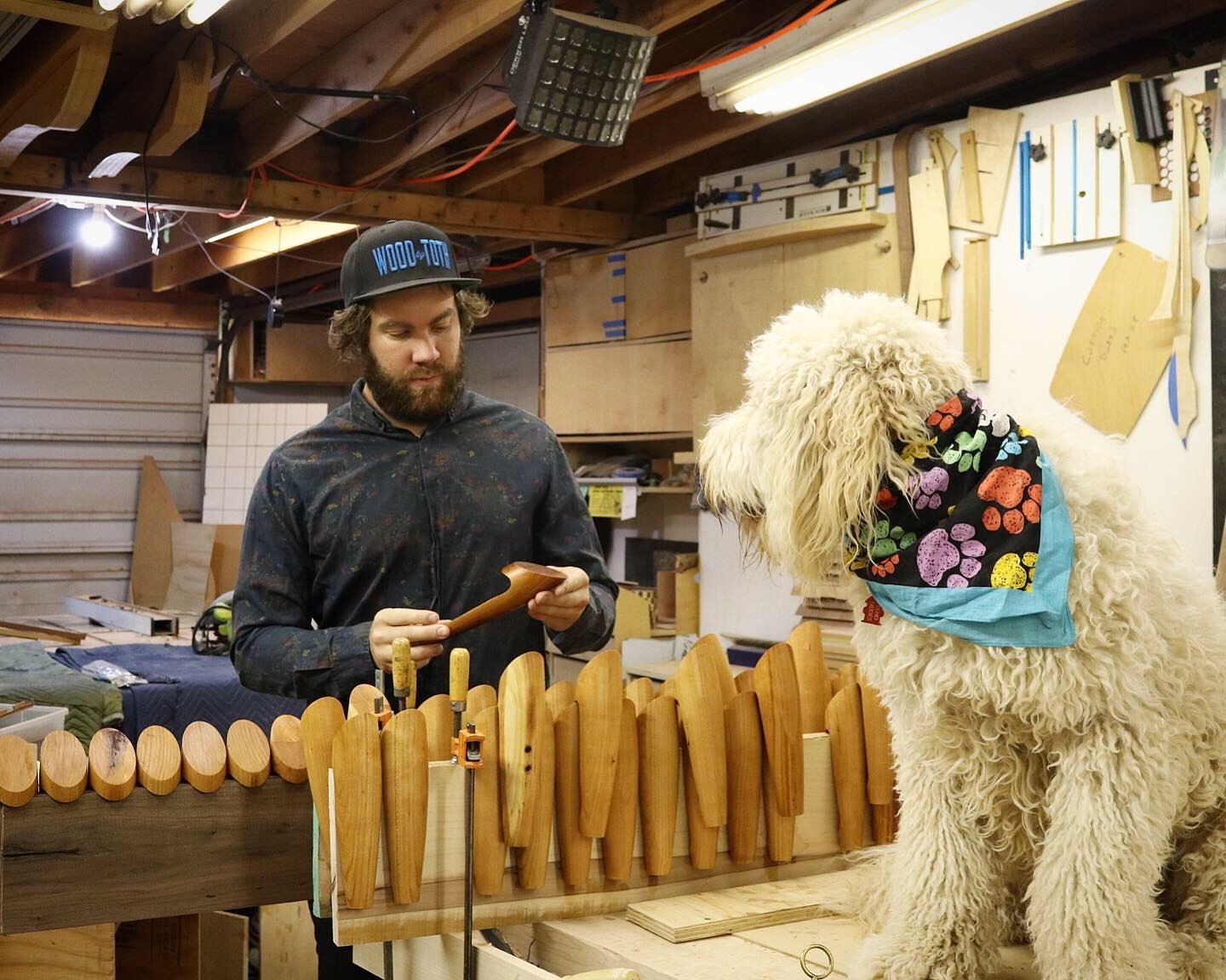 Todd the Doodle 5 - Association of Woodworking 